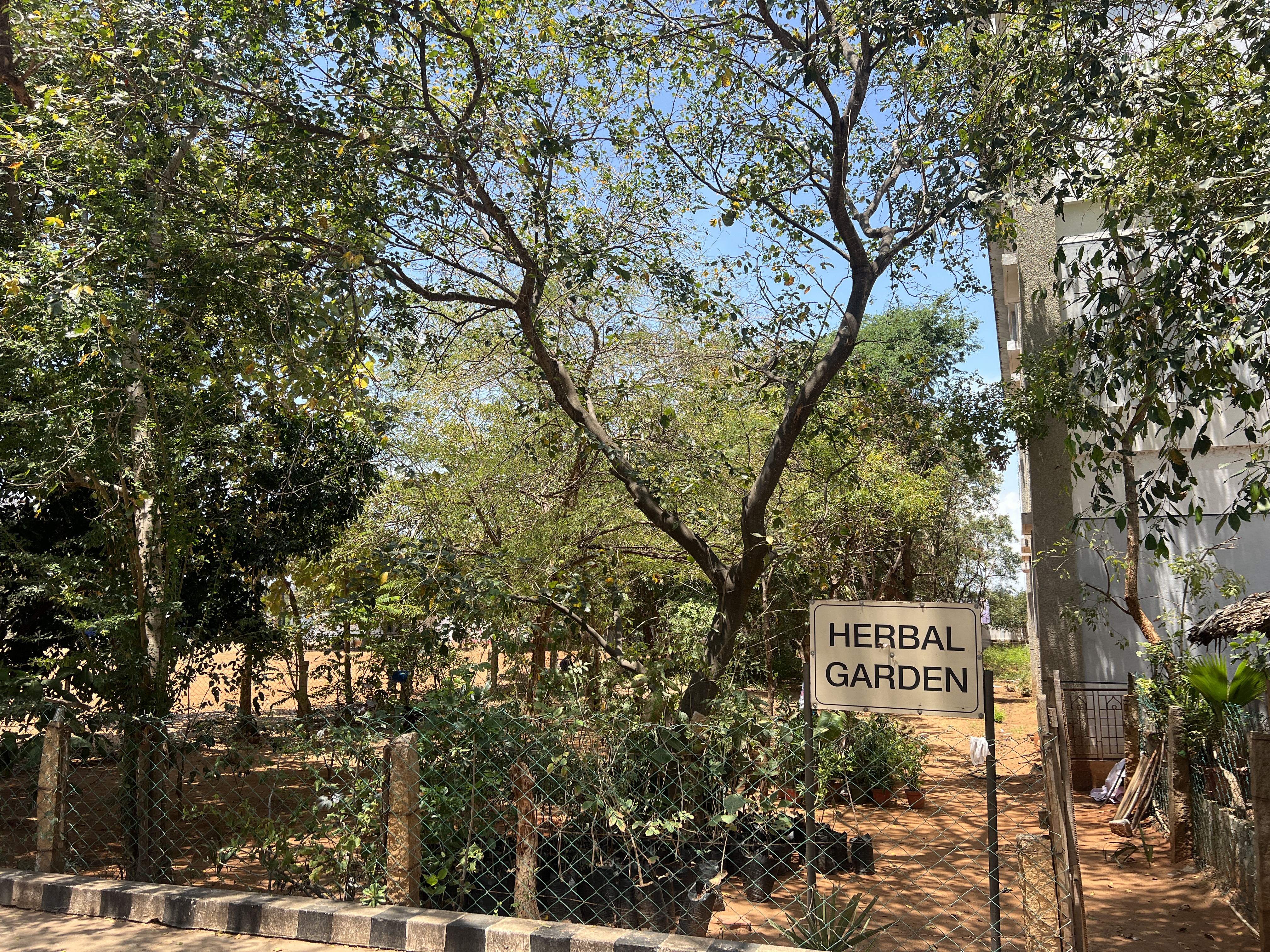 Herbal Garden 2